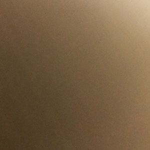 Meet your Posher, Aleena